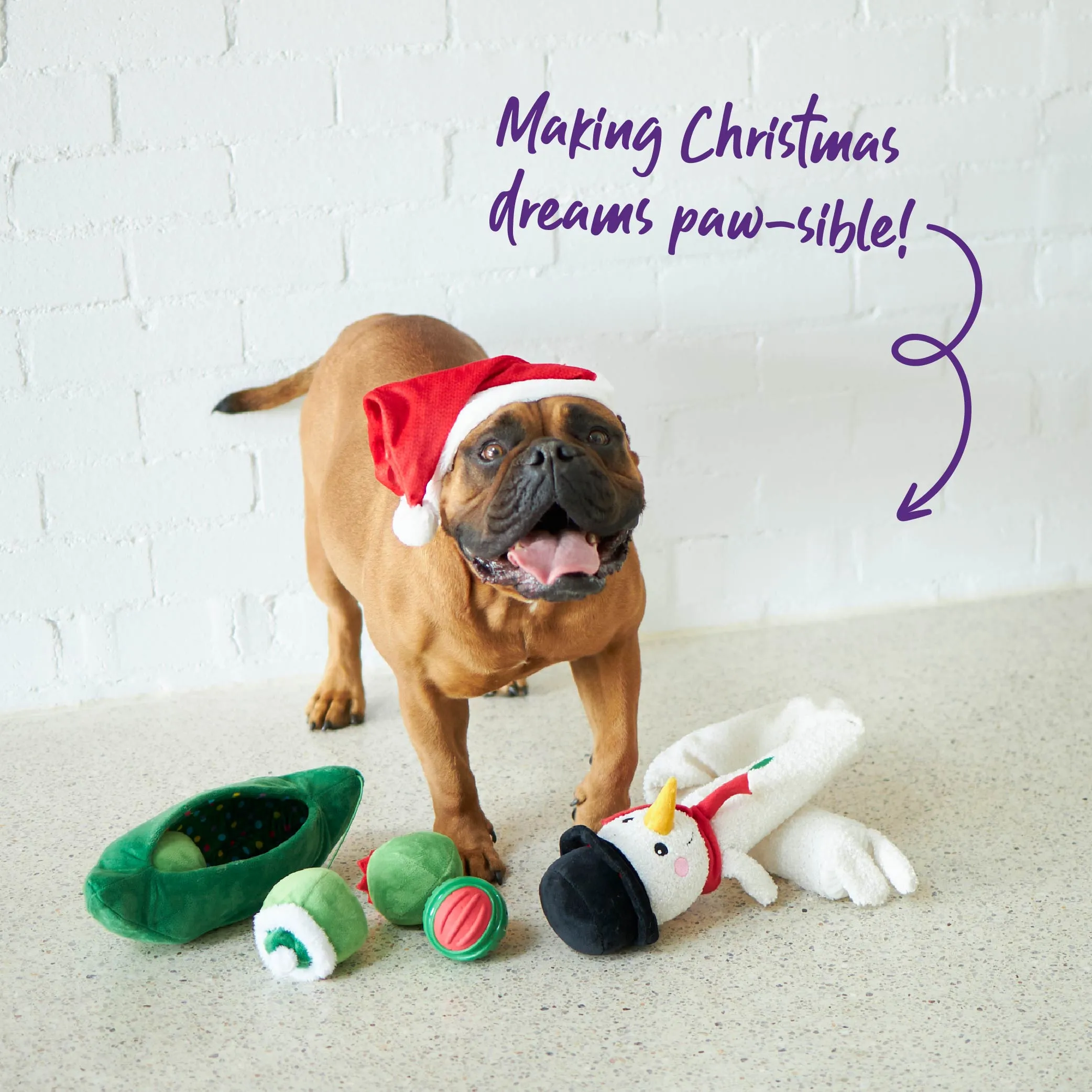 Santa Paws Hat - Large